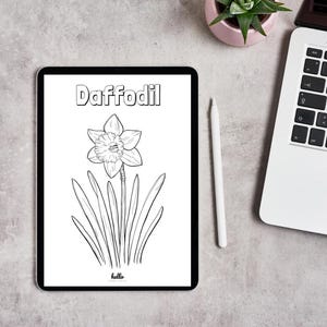 Puede incluir: Un dibujo en blanco y negro de una flor de narciso sobre un fondo blanco. La palabra "Daffodil" est&aacute; escrita en negro en la parte superior de la imagen. La imagen est&aacute; en una tableta digital.