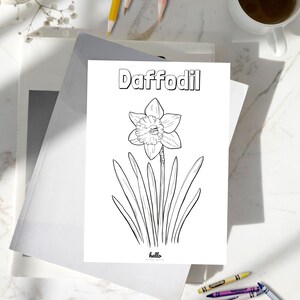 Puede incluir: Una p&aacute;gina para colorear en blanco y negro con una flor de narciso, la palabra "Daffodil" en la parte superior y la palabra "hello" en la parte inferior.