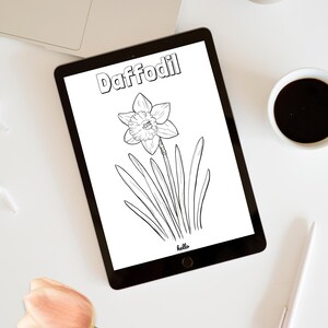 Puede incluir: Un dibujo en blanco y negro de una flor de narciso con la palabra "Daffodil" escrita encima. La palabra "hello" est&aacute; escrita debajo de la flor. El dibujo est&aacute; sobre un fondo blanco.