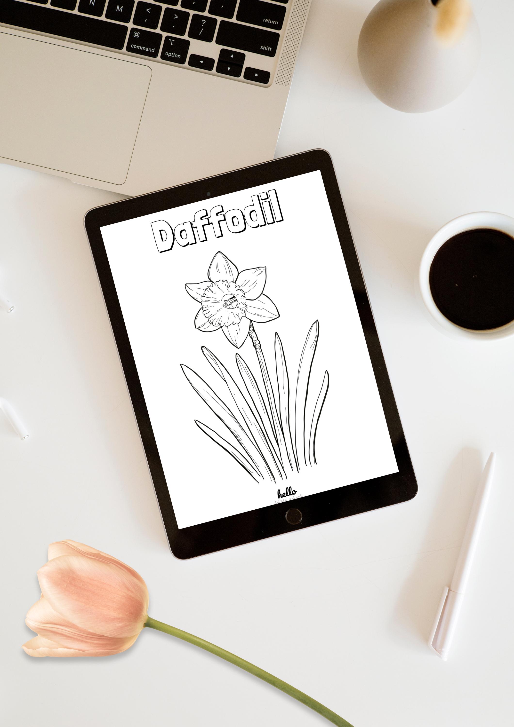 Daffodil Coloring Page – Printable Flowers, Botanical Coloring Pages ...