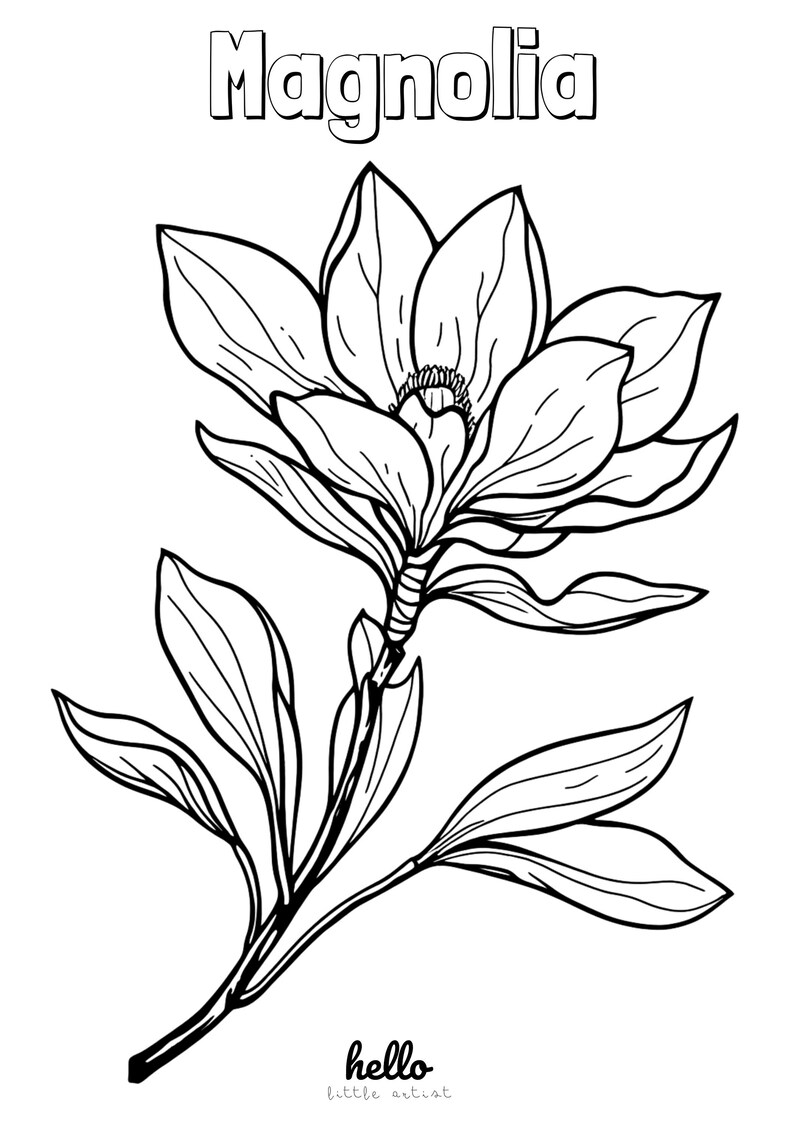 Flower Coloring Pages | 6 Printable Floral Designs | Instant Digital ...