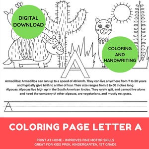 Página para colorear de armadillo y alpaca, letra A, actividad educativa para niños, descarga digital, cactus para colorear