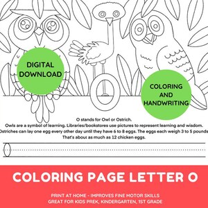 Owl Coloring Page, O Letter Alphabet Coloring Page, Educational Coloring Page, Kids Homeschool Activity, Digital Download