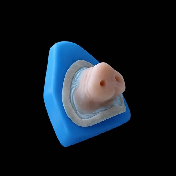 Pig Nose Prosthetic | Silicone Pig Snout | SFX Makeup Appliance | Halloween Costume