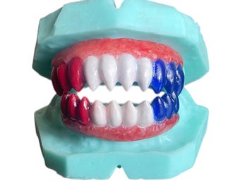 Monster Teeth | Dentures | Accessories | Costume | Colored