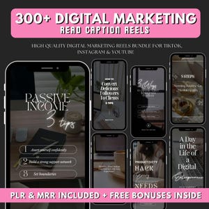 300 Digital Marketing Reels Bundle PLR MRR, Social Media Reels, Faceless Instagram Reels with Captions, Digital Marketing Videos, Dfy Reels
