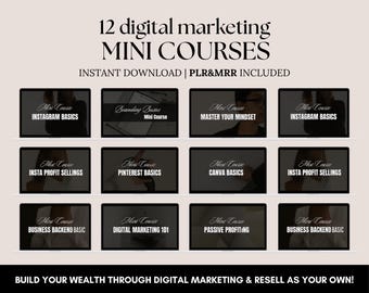 12 mini corsi di marketing digitale, pacchetto di corsi PLR MRR, diritti di rivendita master, corsi aziendali, guadagnare online, reddito passivo