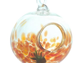 Blown Glass Plant Home -Strawberry Red