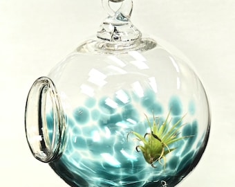Blown Glass Plant Home - Lagoon