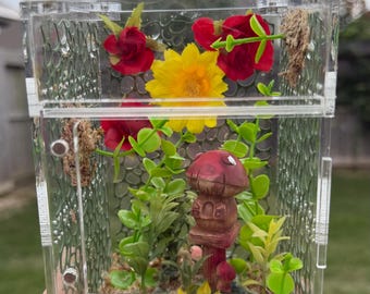 Jardín de hadas con forma de setas rojas y amarillas, recinto para arañas saltarinas con escondite magnético.