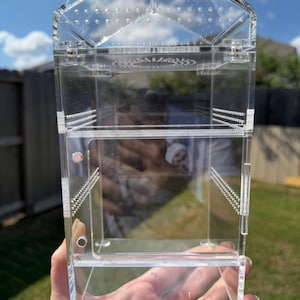 Front and top opening jumping spider enclosure