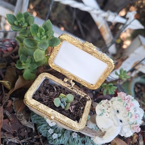 May include: A small, open, gold-colored hinged box with a white interior, containing soil and a small succulent plant. A white figurine of an angel with a floral crown is nearby. The box is on a bed of mulch and leaves.