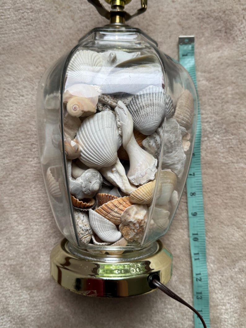 Best Shell Lamps Seashell Glass Lamp: Coastal Decor With Gold Accent - 19