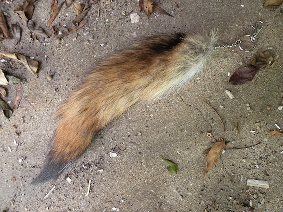 Fox tail online purse charm