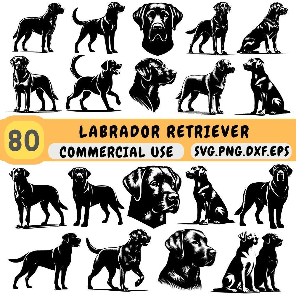 Labrador Retriever SVG Bundle, Clipart Pack, Files, Set for Cricut ...