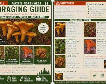 PNW Fall Foraging Guide - Native Nuts, Berries, and Mushrooms