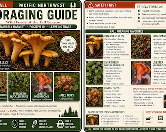 PNW Fall Foraging Guide - Native Nuts, Berries, and Mushrooms
