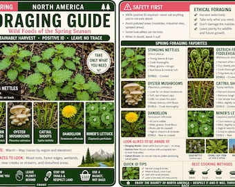 North American Spring Foraging Guide - Quick intro for beginners