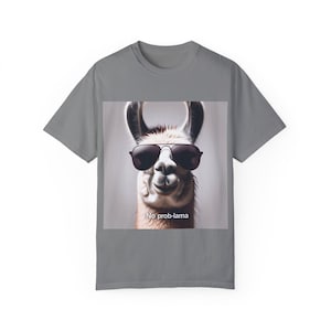 Lustiges Lama T-Shirt, kein Prob-Lama, cooles entspannendes Alpaka-T-Shirt, Unisex Garment-Dyed-Shirt, Alpaka-Liebhaber-Geschenk, lustiges Tier-Top, Lama mit