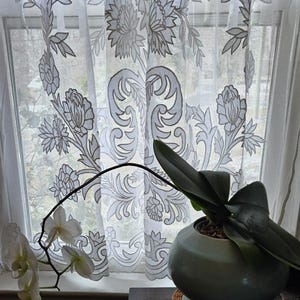 May include: A white lace curtain with a floral pattern hangs in a window. A potted green plant with a light blue ceramic pot sits on a wooden table in front of the window.