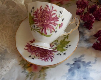 Unusual Teacup & Saucer/Vintage Adderley Bone China/Handpainted