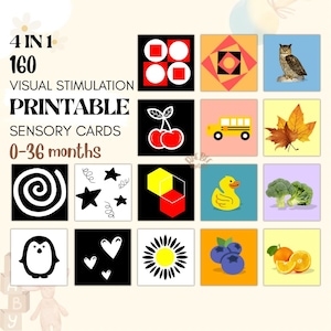 160 schede didattiche di stimolazione visiva ad alto contrasto per bambini - Schede sensoriali Montessori stampabili in bianco e nero da colorare - DOWNLOAD DIGITALE