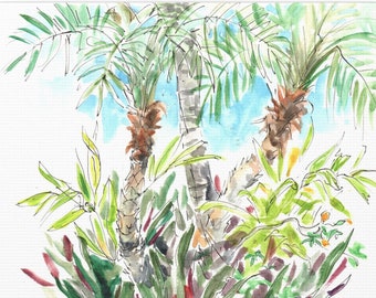 Palm Trees, Florida, Print on Canvas Gallery Wrap
