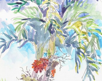 Florida Palm Trees, "Betel Nut Trees", Print On Canvas Gallery Wrap