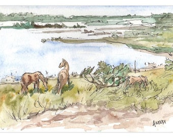 Wild Horses On Carrot Island, Set of Ten Folded Cards With Envelopes, 5"x7"