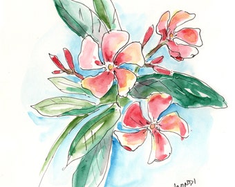 Island Oleander, Original Watercolor On Paper, 8"x8"