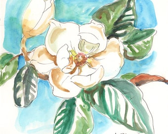 Southern Magnolia Original Watercolor On Paper, 8"x8"