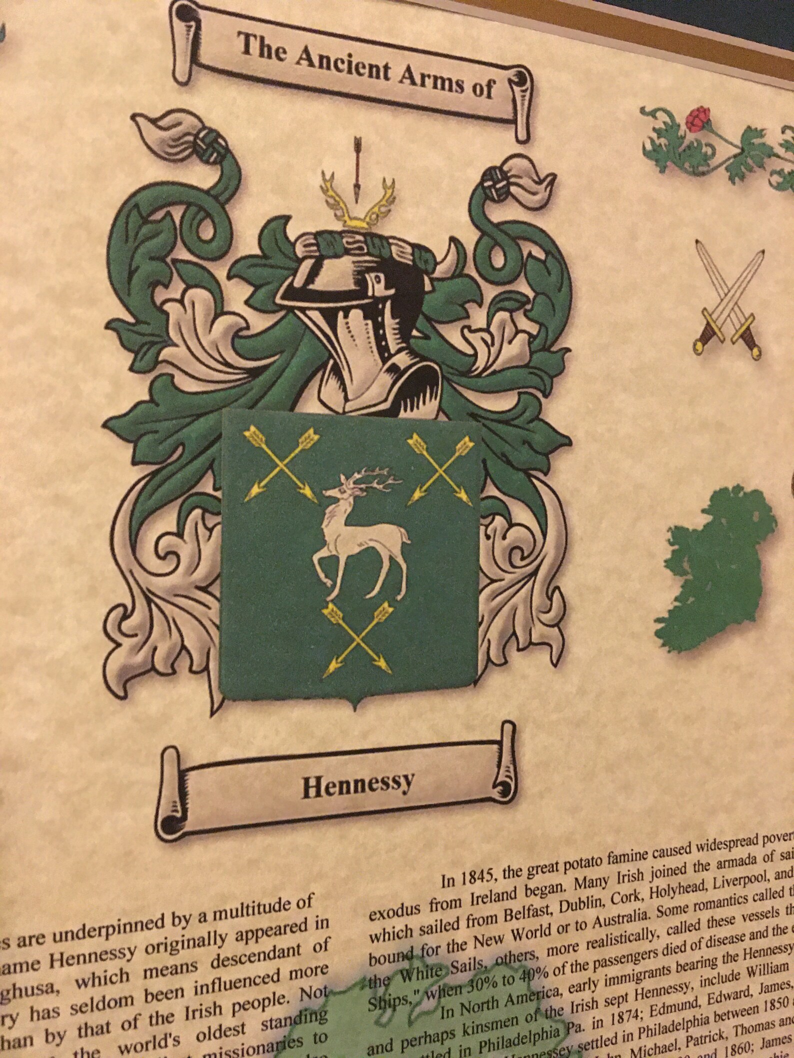 Irish Last Names Irish Surnames Irish Irish Coats of Arms Etsy