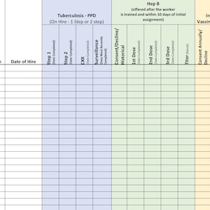 May include: A blank spreadsheet with column headers for employee name, position, date of hire, tuberculosis, hepatitis B, influenza vaccination, and COVID-19 vaccination.