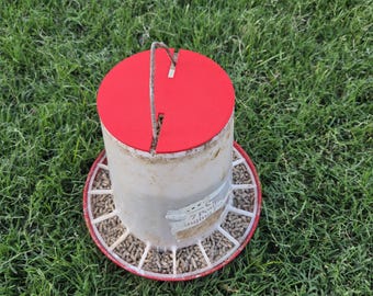 Chicken Feeder Lid for 7lb Flock Party Feeder