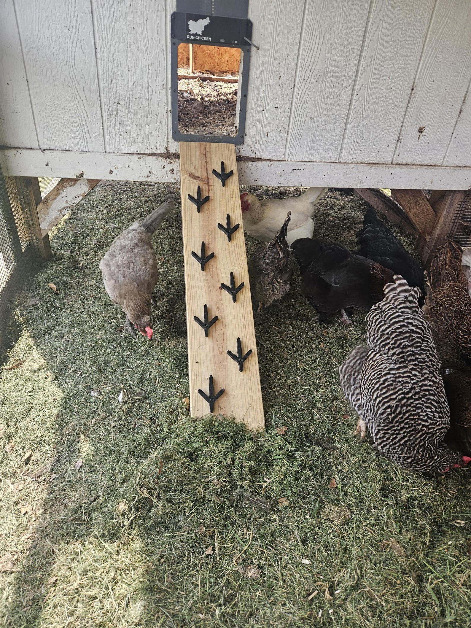 Chicken Ramp Feet Cleats *hardware Included* Set of 8 - Etsy