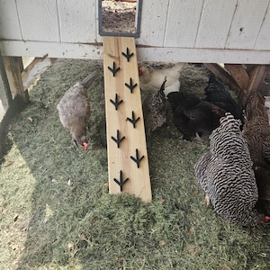 Chicken Ramp Feet Cleats *hardware Included* Set of 8 - Etsy