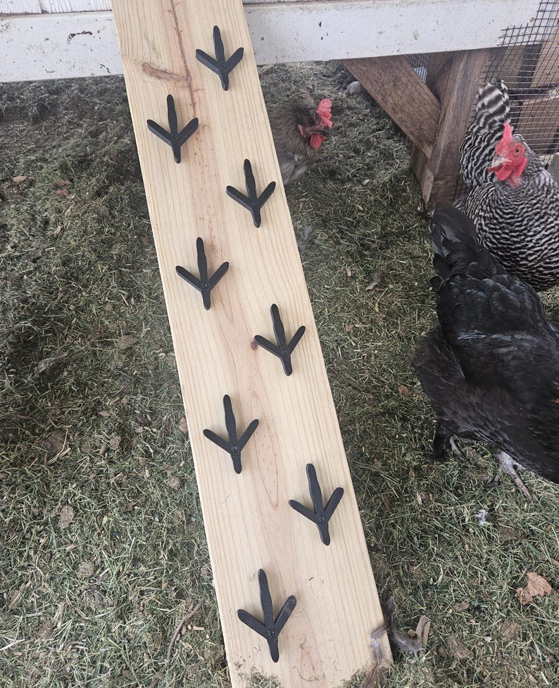 Chicken Ramp Feet Cleats *hardware Included* Set of 8 - Etsy