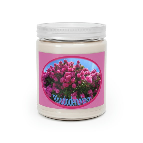 My Favorite Scented Candles, 9oz