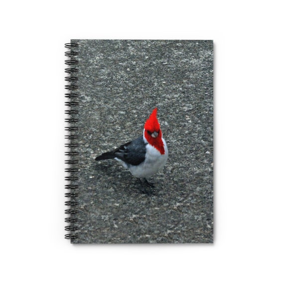 Brazillian Cardinal Spiral Notebook - Ruled Line