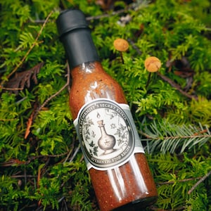 Brand New: The Alchemist&#39;s Secret Elixir!