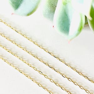 May include: Four delicate gold-colored chain necklaces are arranged diagonally across a white surface. The chains have a simple, elegant design. A green succulent plant is in the background.