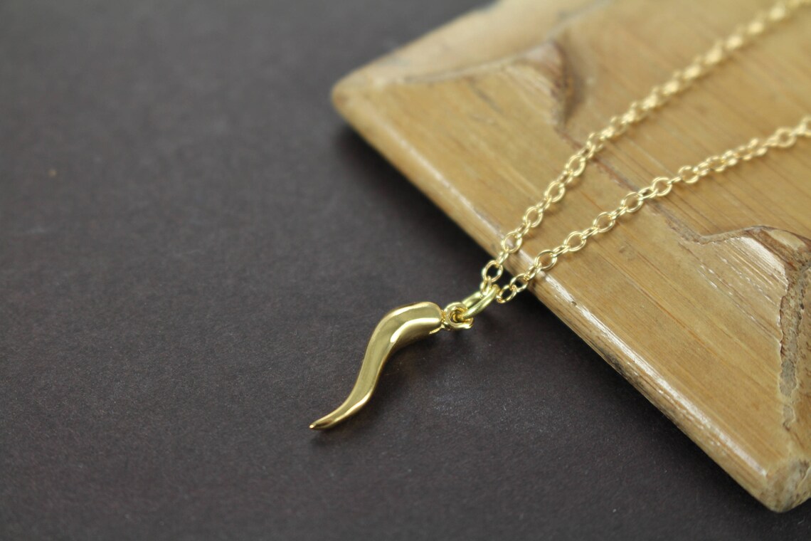 Italian Horn Necklace Gold for Women Bridesmaid Jewelry Etsy