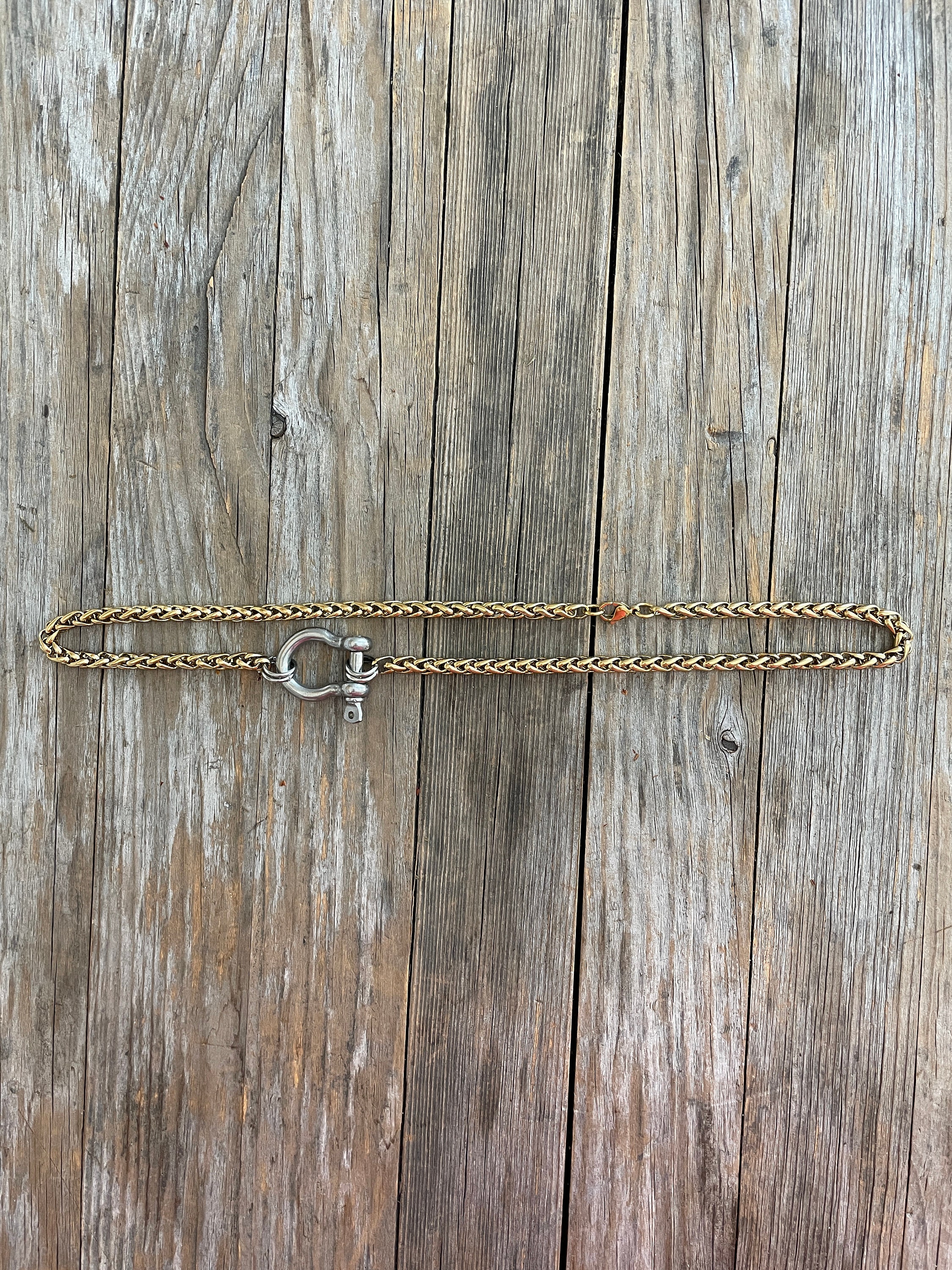 Horseshoe Shackle Stainless Steel Necklace - Chunky Choker Necklace - Bold Necklace - Punk Jewelry - Statement Piece - Carabiner Necklace