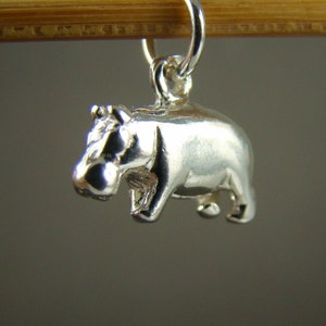 May include: A silver charm in the shape of a hippopotamus. The charm is hanging from a bamboo skewer.