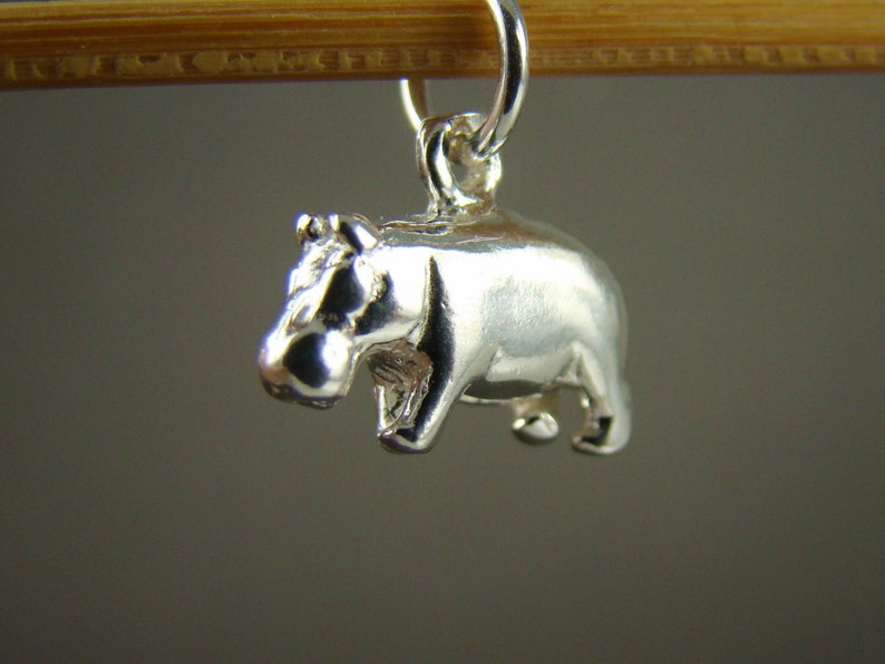 May include: A silver charm in the shape of a hippopotamus. The charm is hanging from a bamboo skewer.