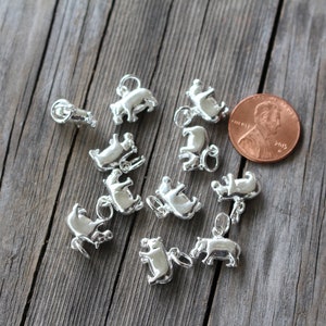 May include: A collection of silver-toned hippopotamus charms, each about the size of a US penny. The charms are arranged on a wooden surface.
