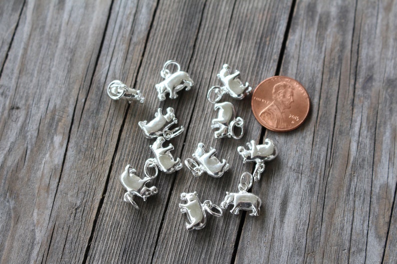 May include: A collection of silver-toned hippopotamus charms, each about the size of a US penny. The charms are arranged on a wooden surface.