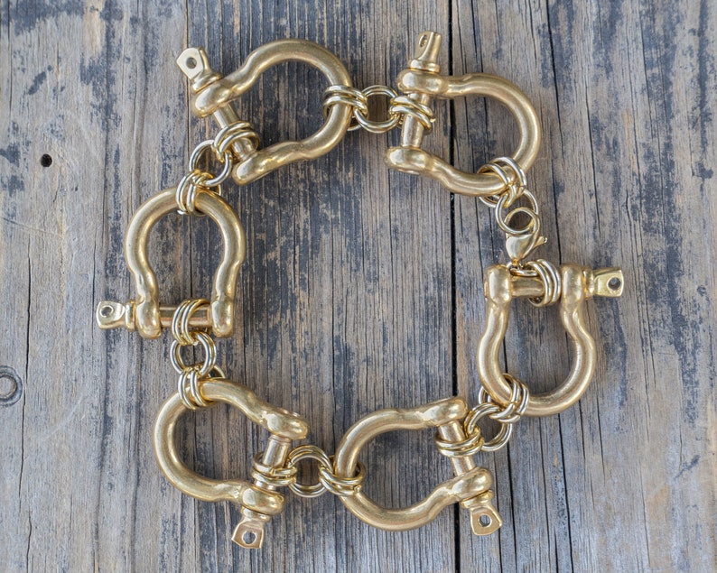 Retro Modernist Stainless Steel carabiner bracelet in silver and gold, custom length. All horse shoe bracelet, personalized length. Punk rock jewelry, statement piece for those who dare to be different.