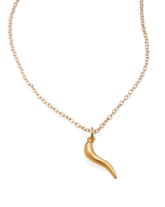 horn necklace bridesmaid gift