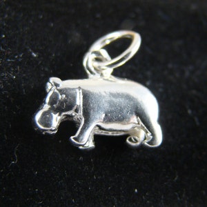 May include: A silver charm in the shape of a hippopotamus. The charm has a loop at the top for attaching to a bracelet or necklace.